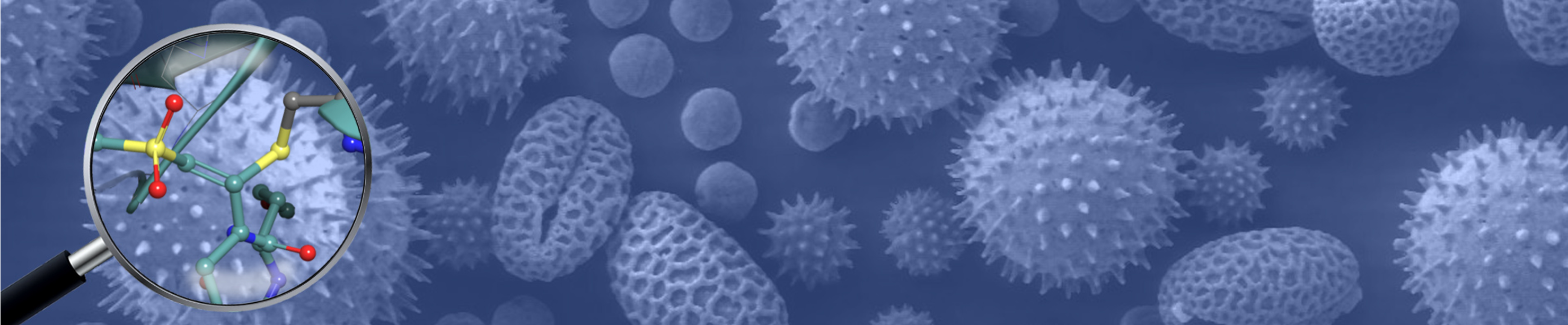 DMCCB Basel Symposium 2026